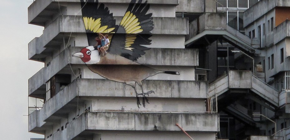Un Cardellino a Scampia, Chiromechino