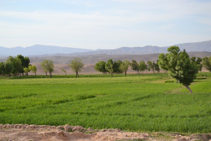 afghanistan-body-emotional mindfulness 