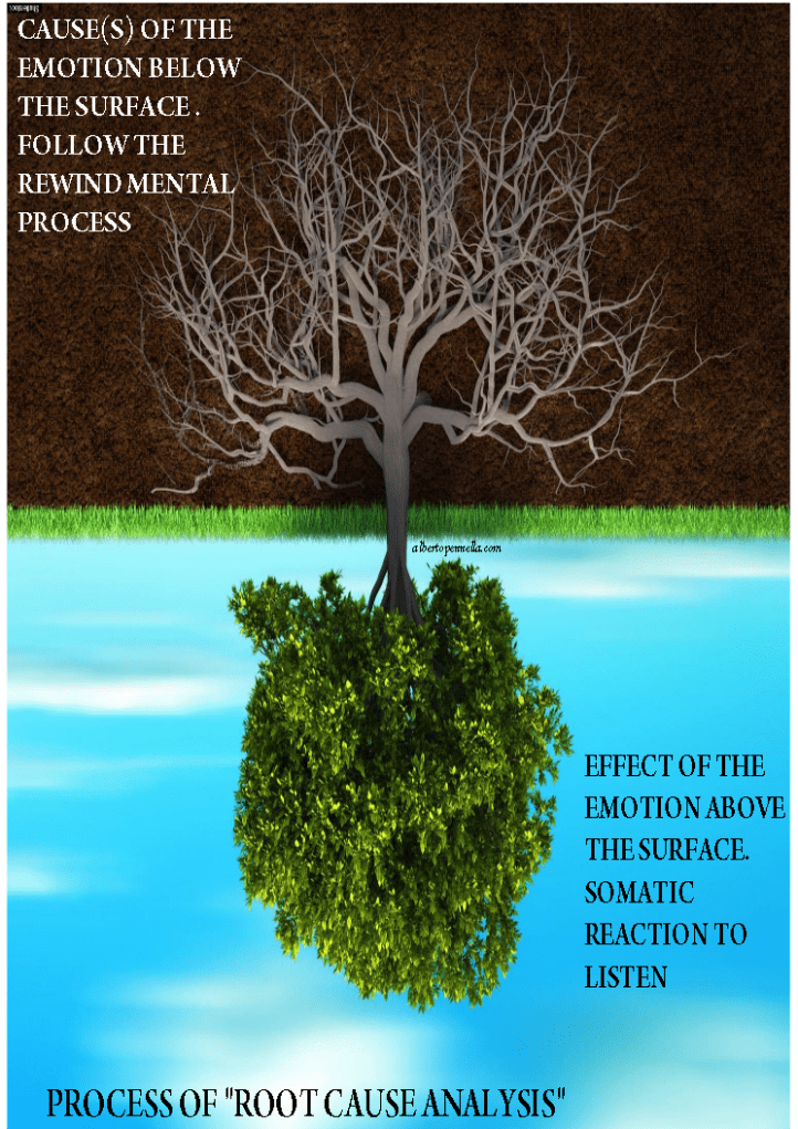 ROOT CAUSE ANALYSIS EMOTIONAL